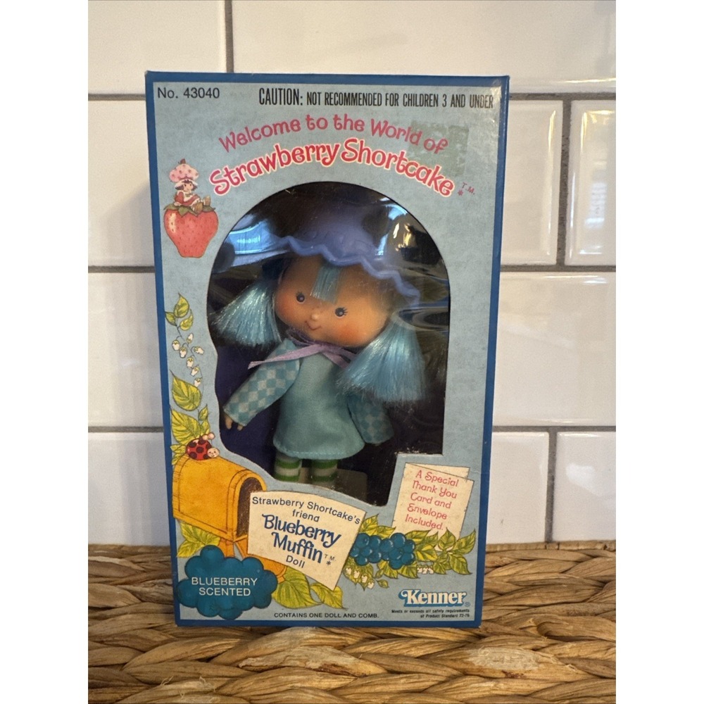 Vintage 1980 Blueberry Muffin Strawberry Shortcake Doll NRFB NEW